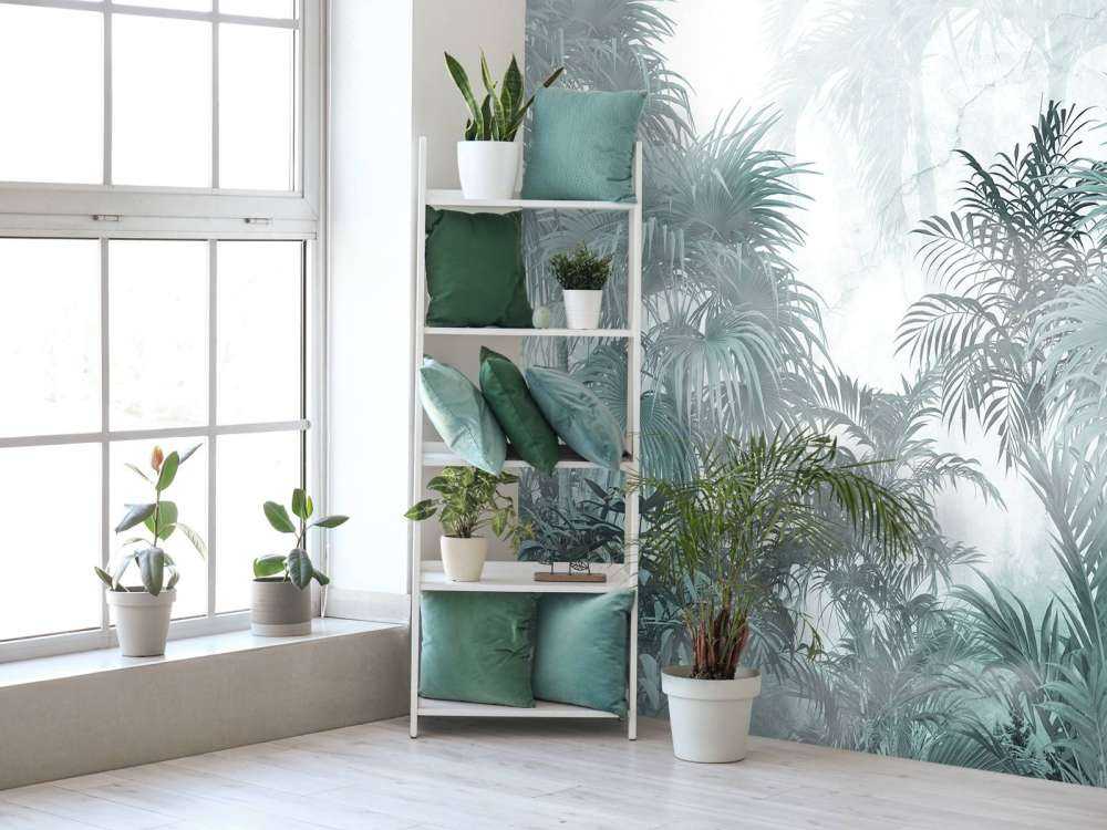 Mystical Jungle Mist