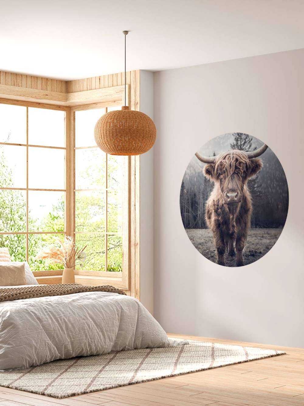 Scottish Highlander by the forest