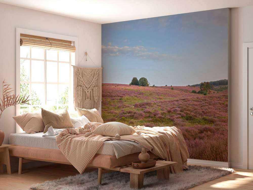 Flowering heather