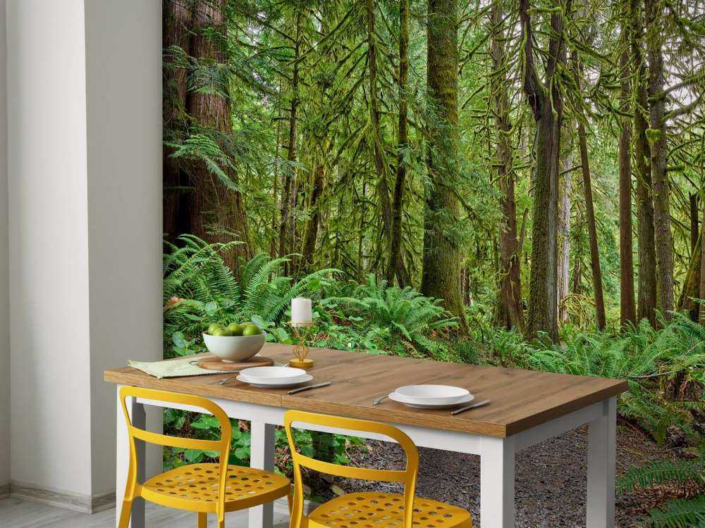 Path with stones through the forest