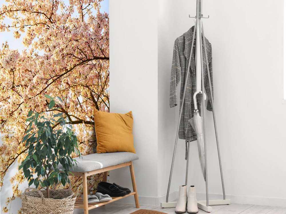 Blossom branch in bloom