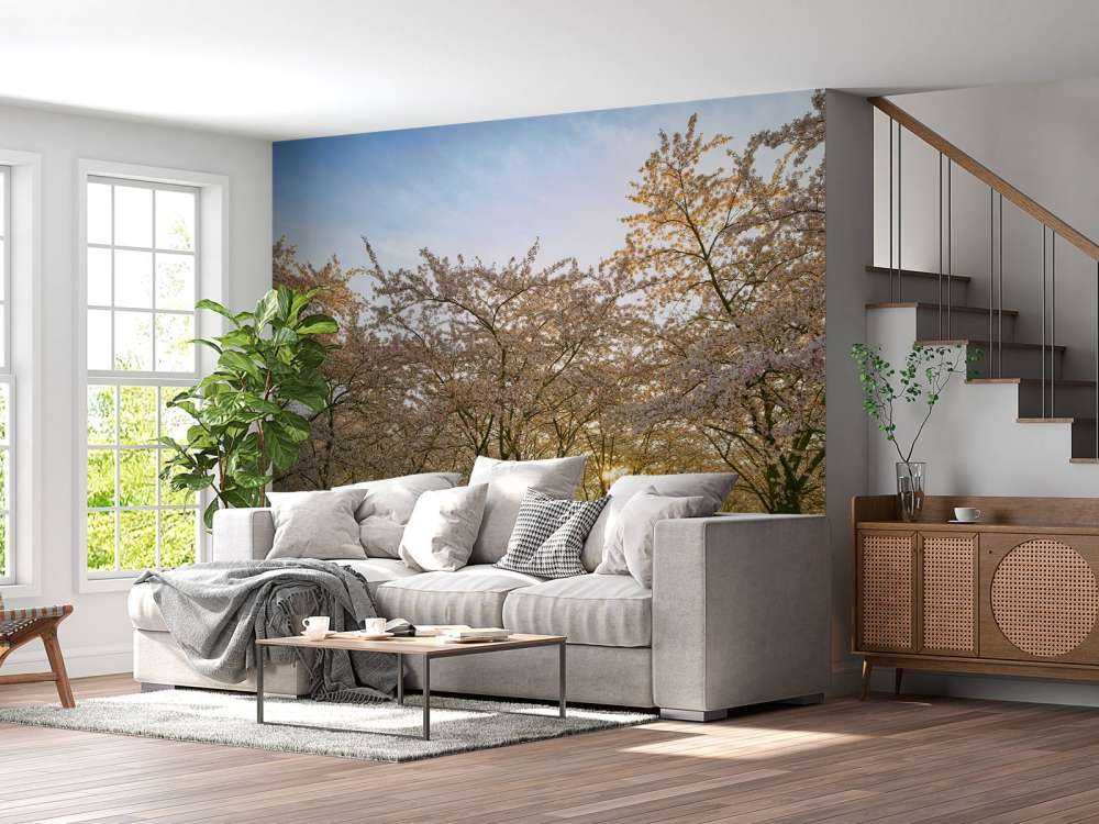 Flowering blossom trees