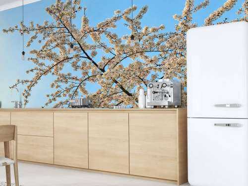 Blossom branch
