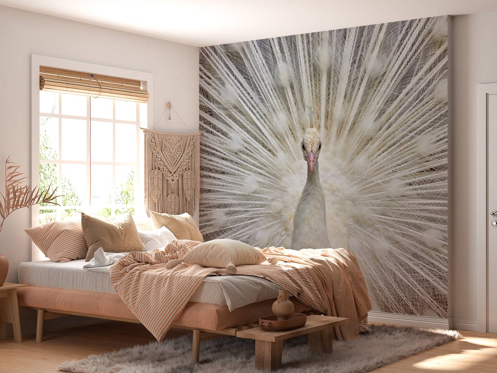 White peacock