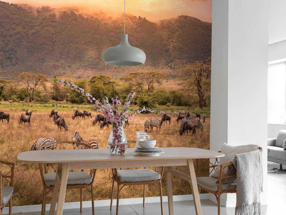 Savanna landscape with zebras