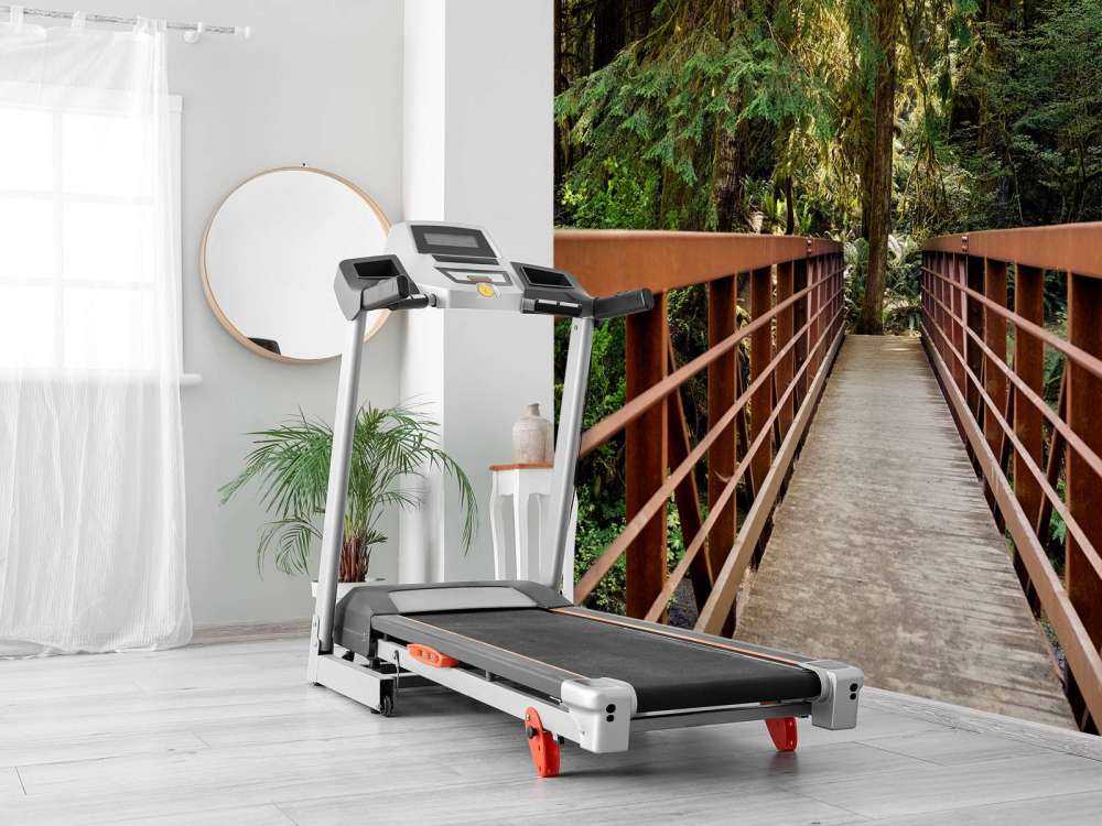 Rusty bridge in the forest