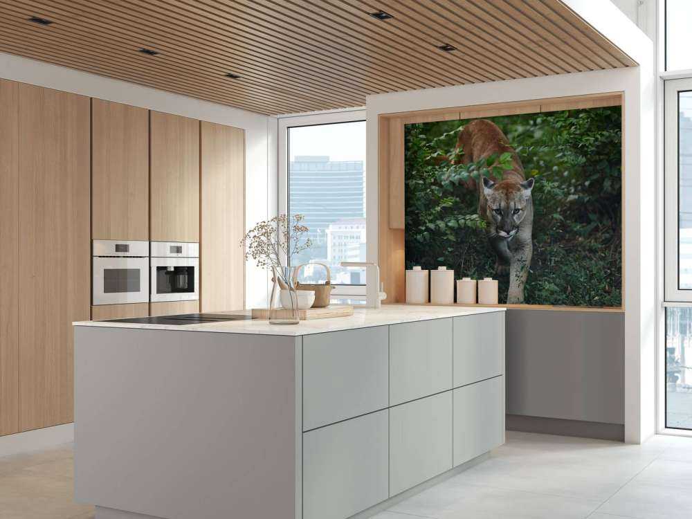 Sneaking mountain lion