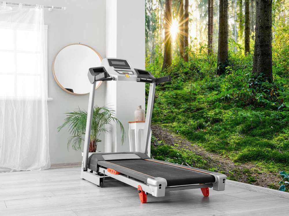 Forest panorama in spring