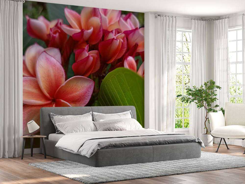 Tropical Flowers