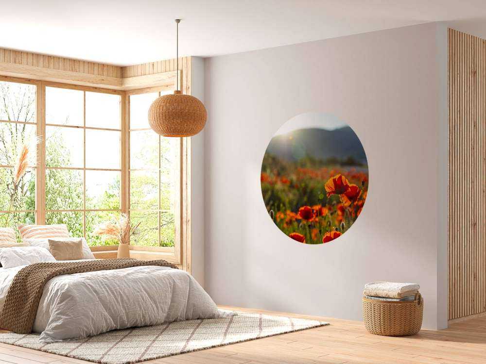 Poppies with sunbeams