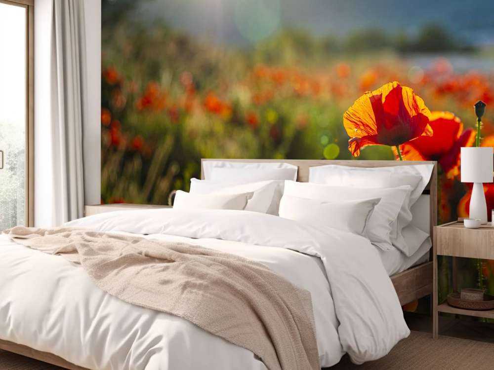 Poppies with sunbeams