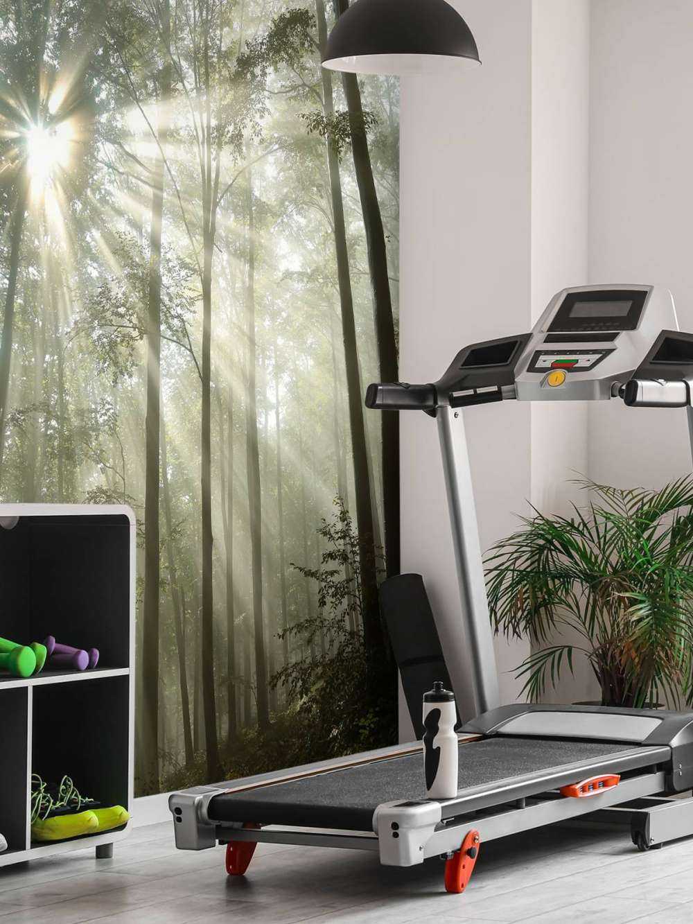 Forest in foggy weather