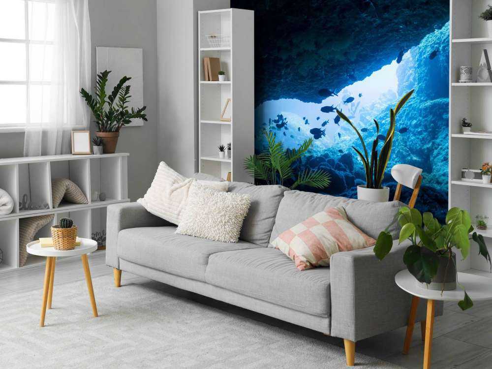 Narrow cave with fish