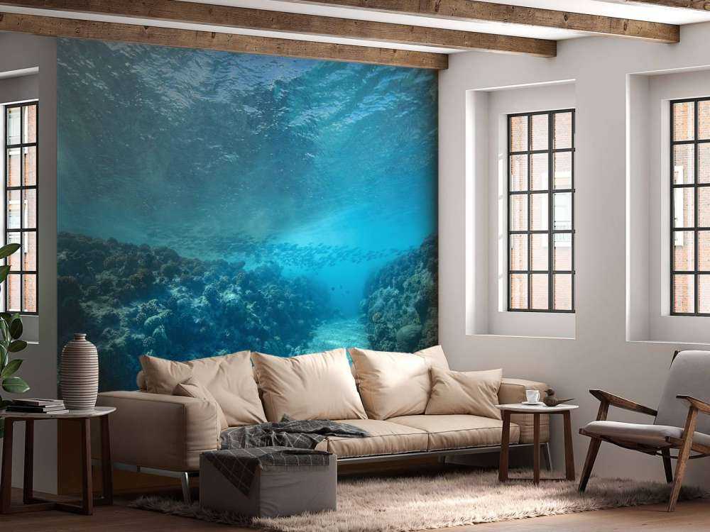 Underwater world with coral