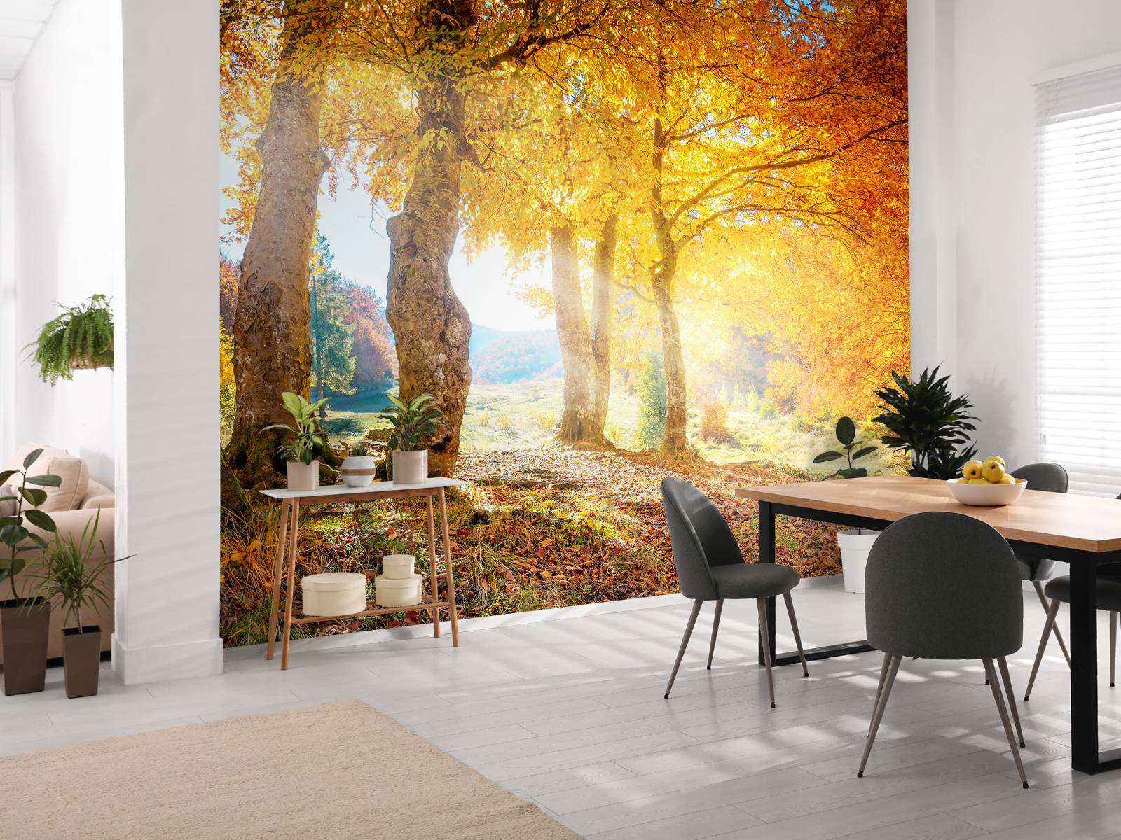 Warm autumn landscape
