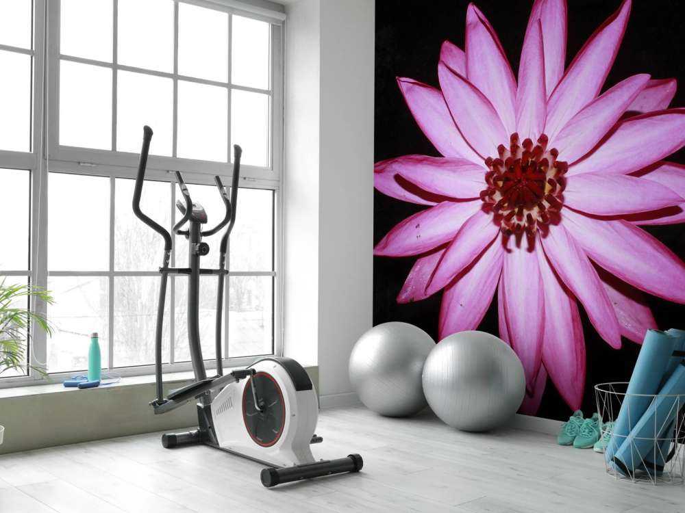 Lotus flower from above