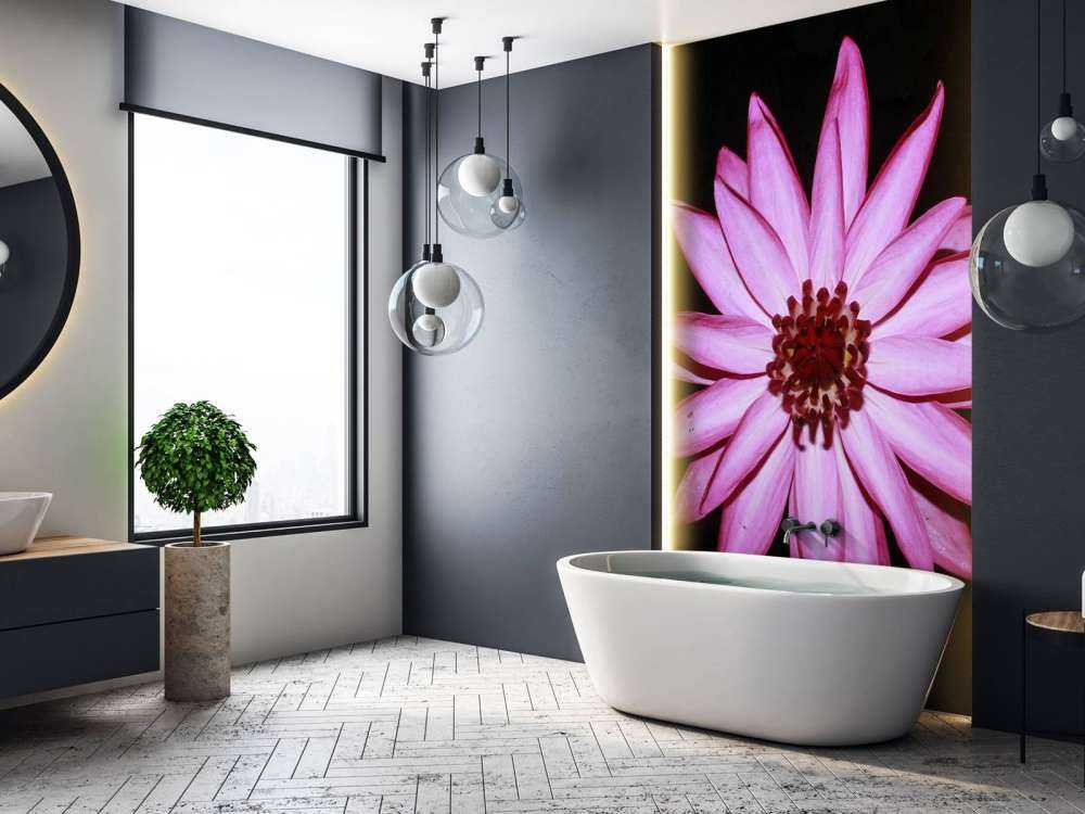 Lotus flower from above