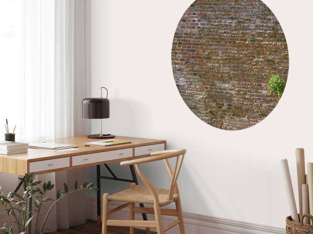 Old stone city wall with plants