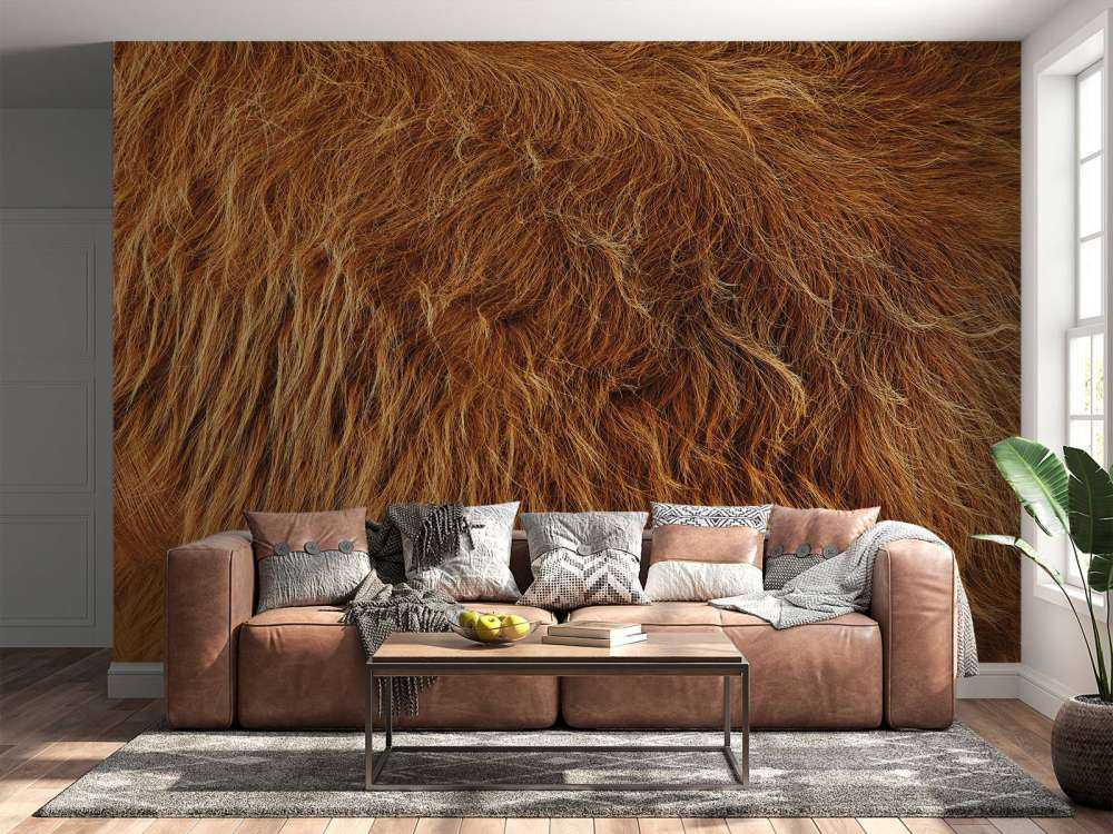 Vintage Scottish Highlander coat