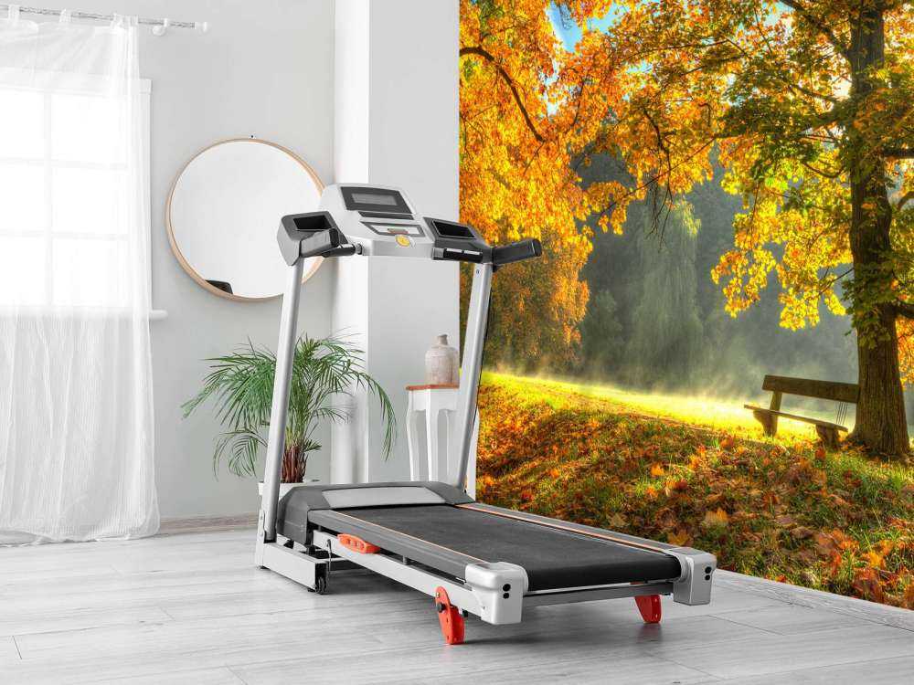 Tree in autumn colours