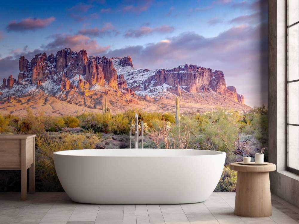 Cactus in a mountain landscape