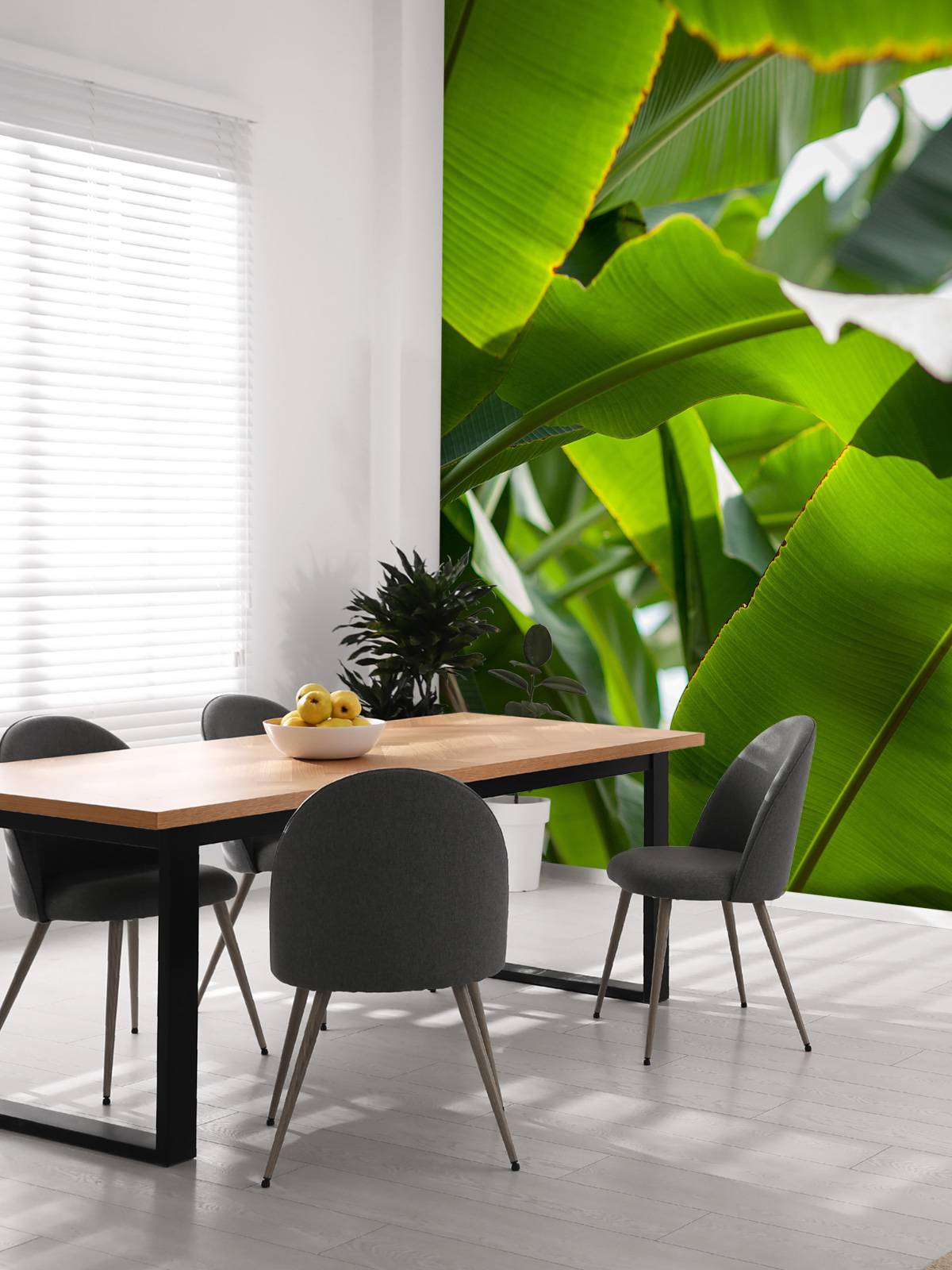 Palm leaves