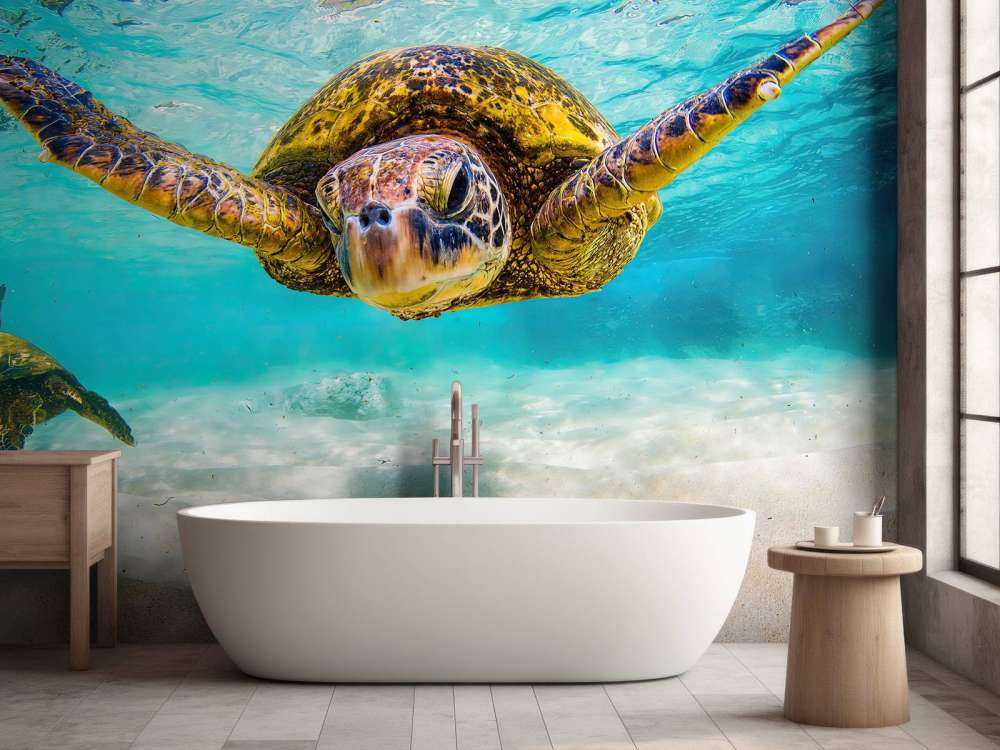 Sea turtle in the ocean