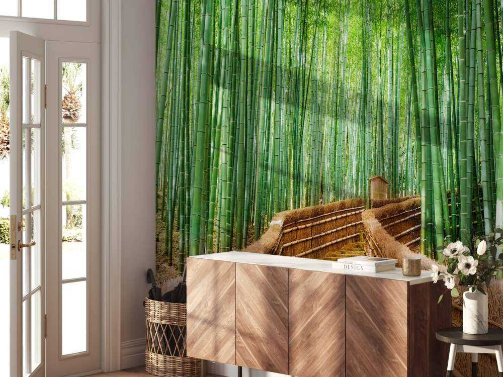 Staircase between bamboo plants