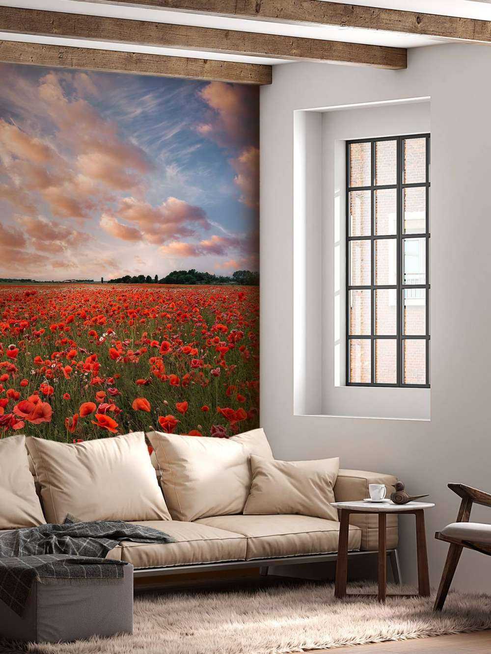 Poppy field in Sweden