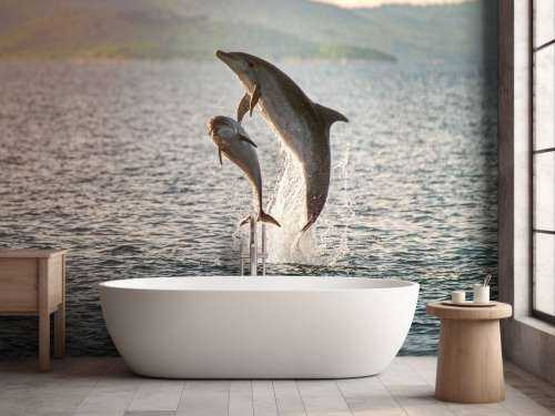 Two jumping dolphins