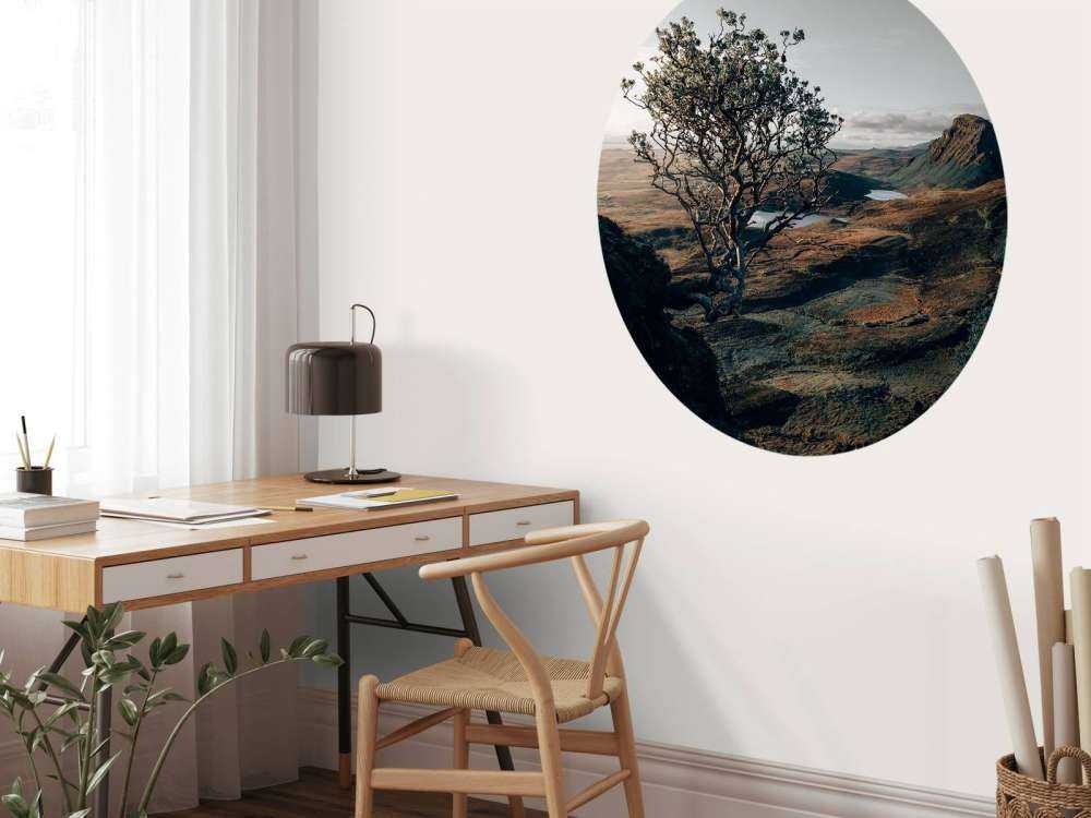 The beginning of the day