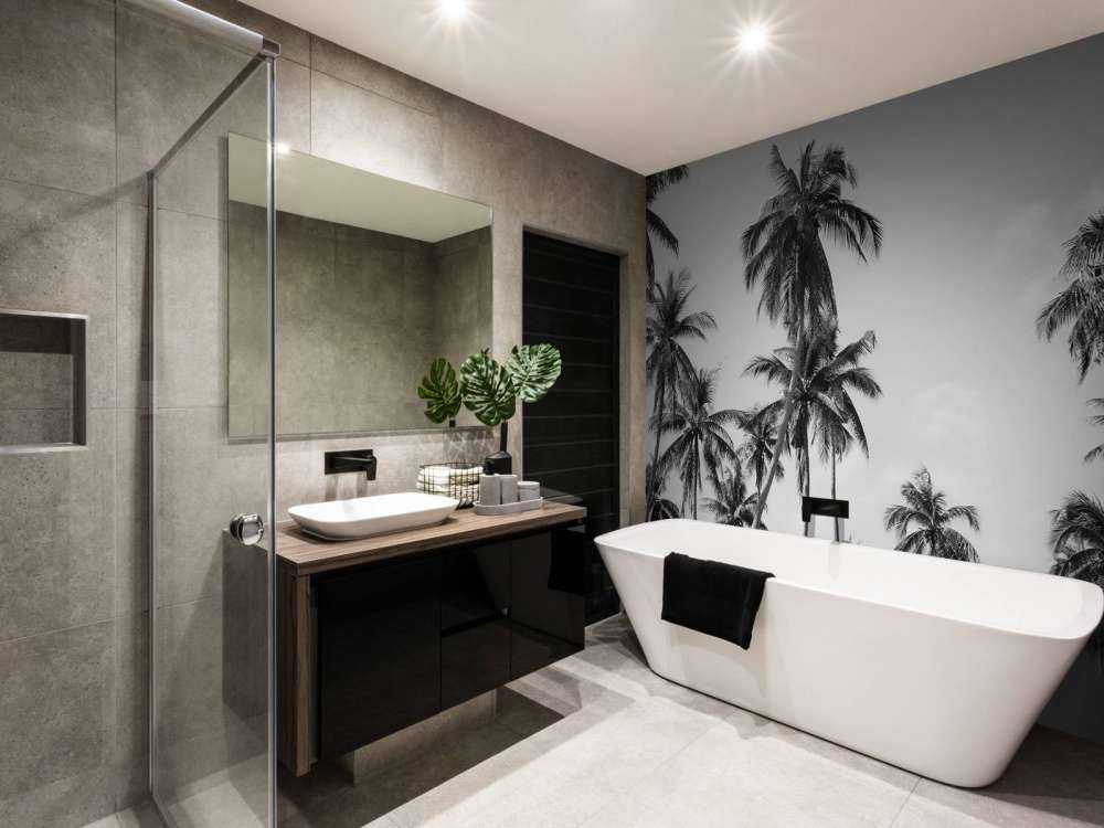 Palm trees in black and white