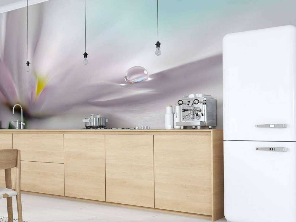 Where dreams come true