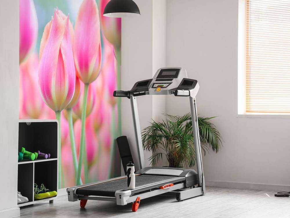 Close-up pink tulips