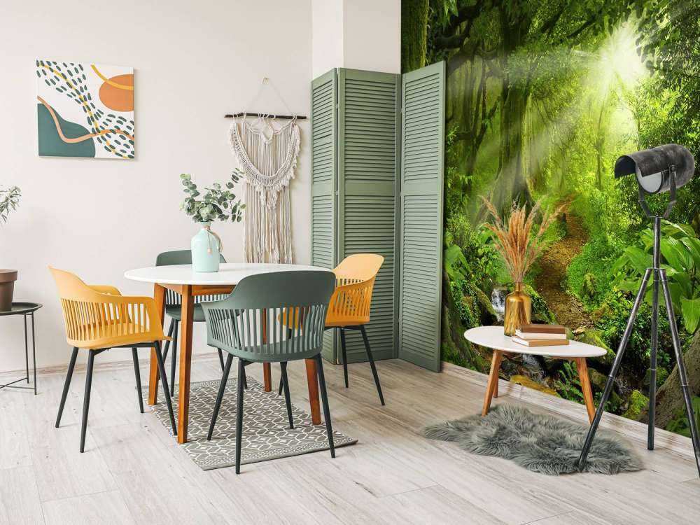 Tropical jungle with sunlight