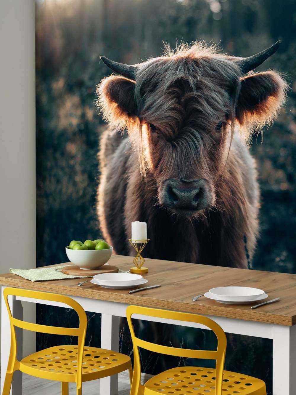 Young Scottish Highlander