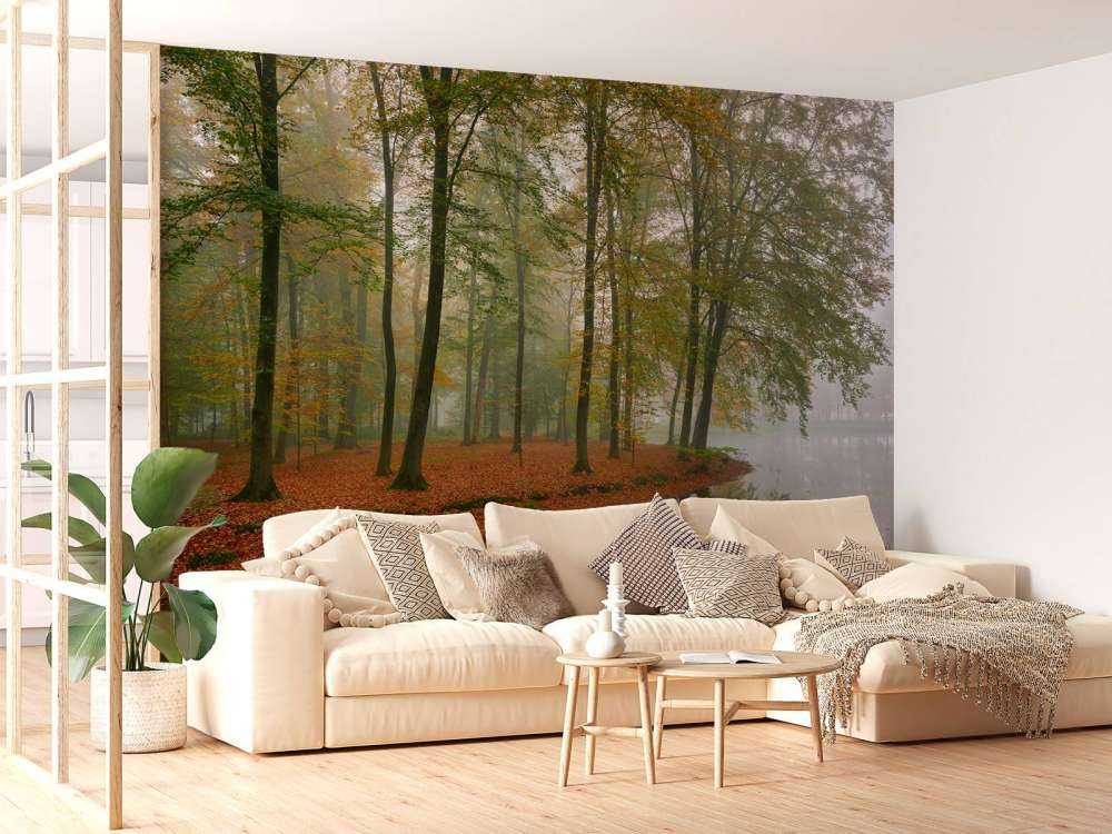 Reflection of trees in pond