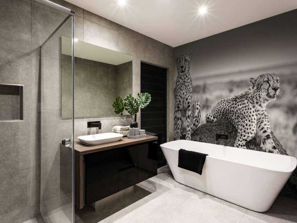 Two Cheetahs watching out