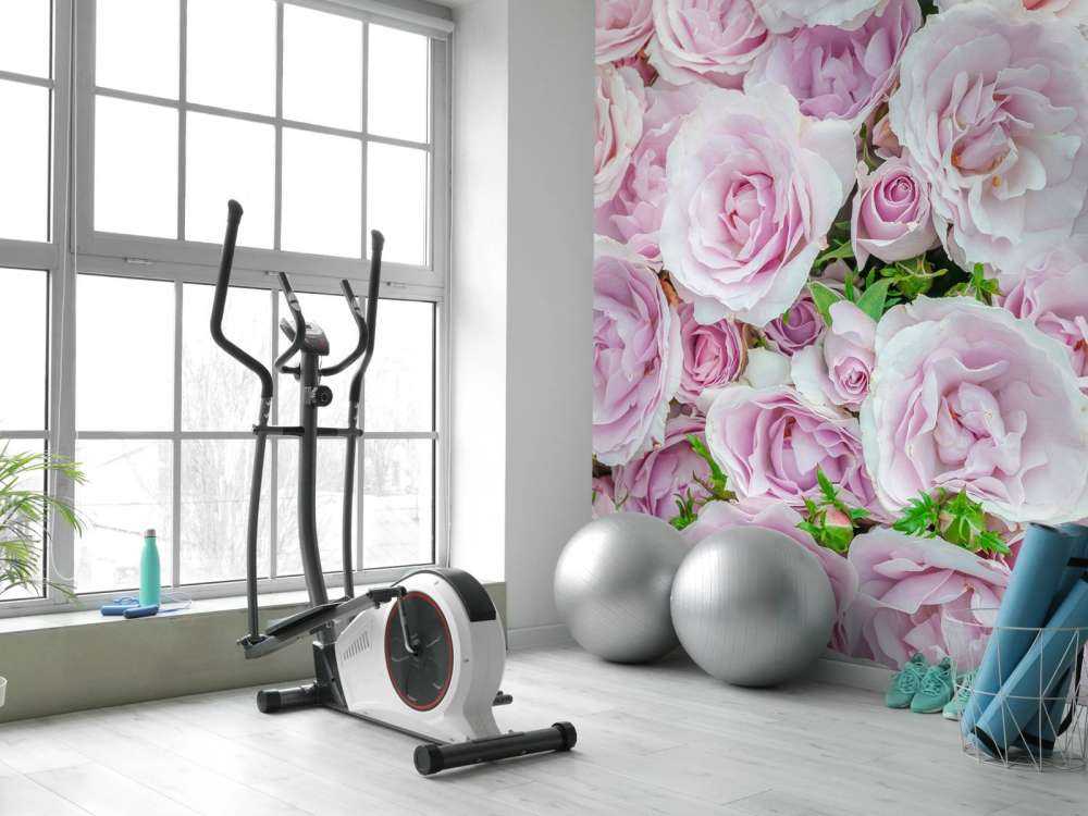 Colorful white and pink roses