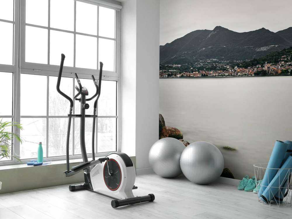 Village on Lake Garda