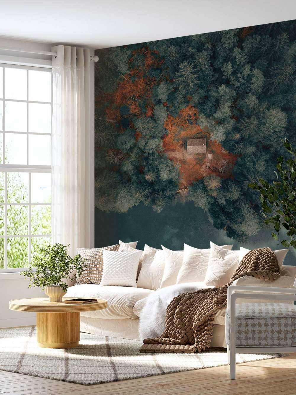 Cabin in the middle of the forest