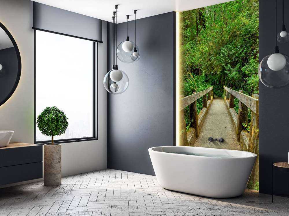 Bridge in the forest