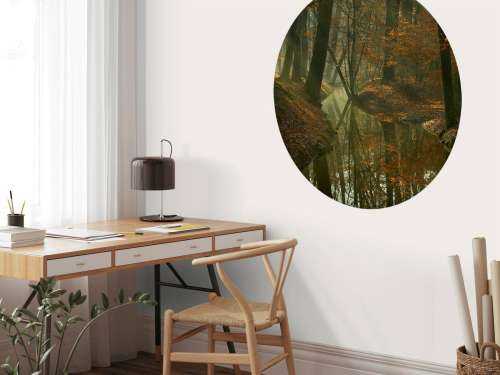 River through the forest