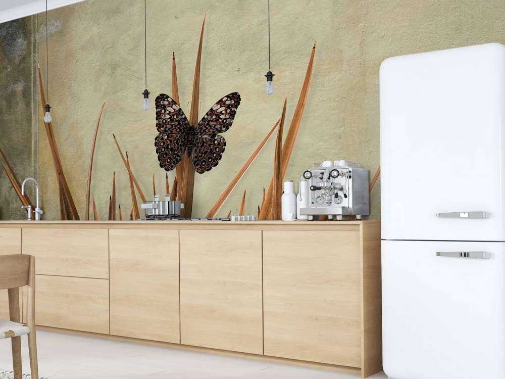 Butterfly near old wall