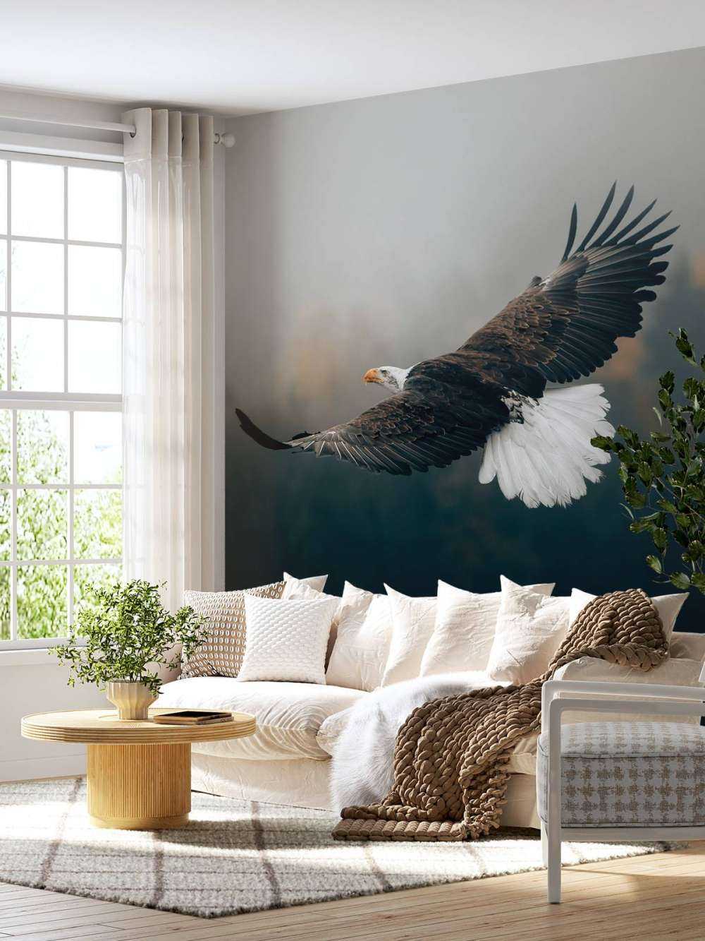 Bald eagle above the forest