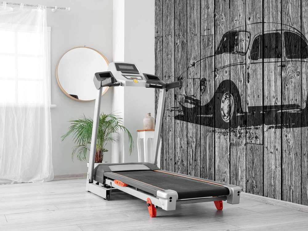 Graffiti Beetle on wood