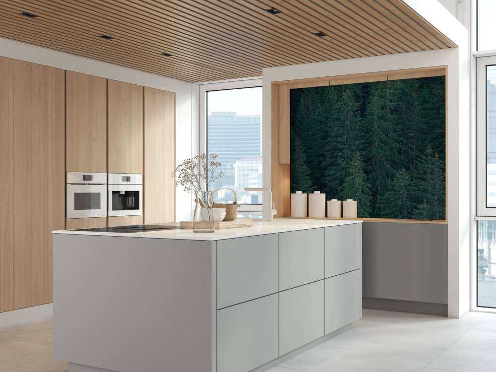 Conifers with pine cones