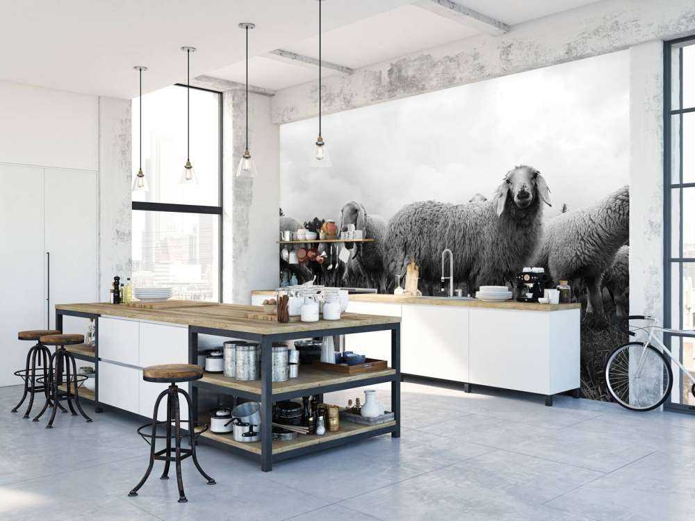 Flock of sheep in black and white