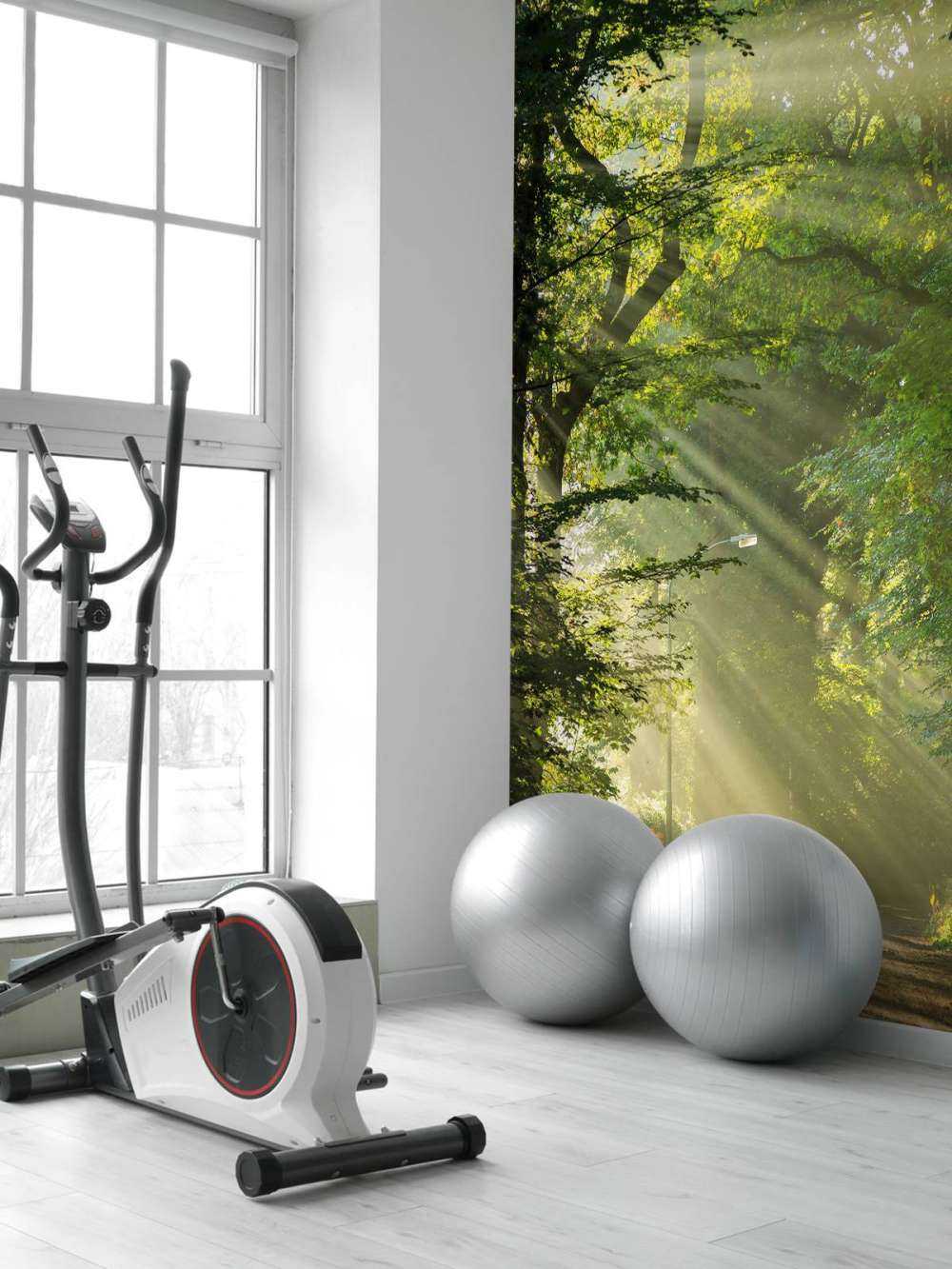 Sunbeams through the trees