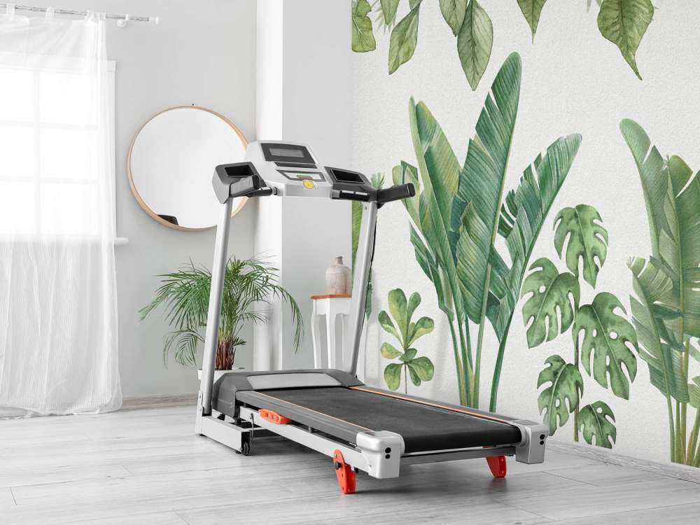 Tropical jungle plants